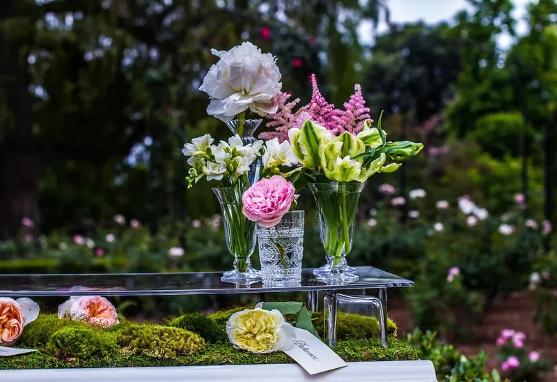 salon vivre le jardin